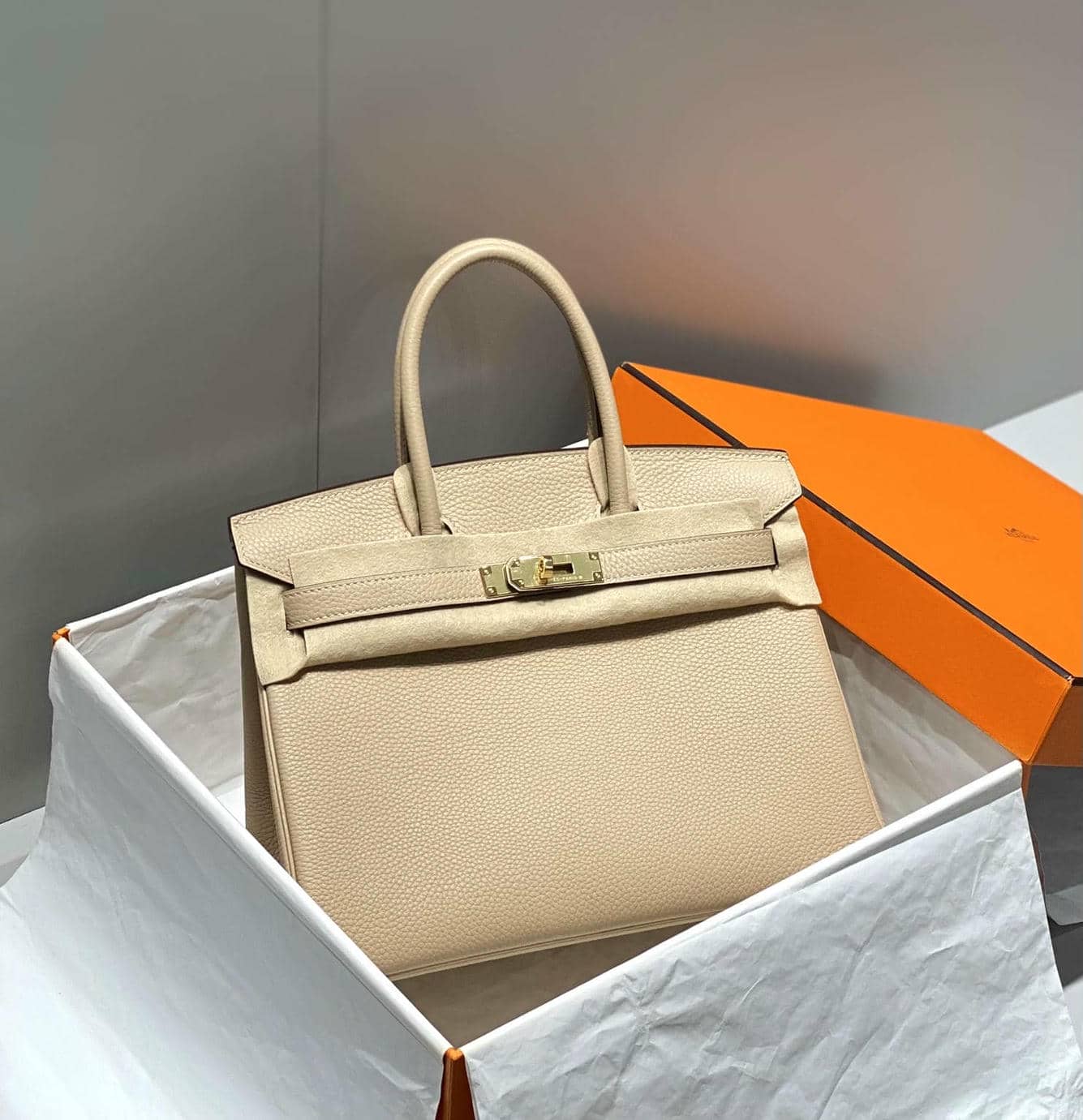 Birkin-1
